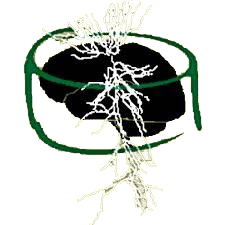 NeuroMorpho.Org logo